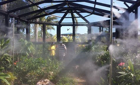 Spaying-water-in-garden-to-remove-mosquito(001) Spaying-water-in-garden-to-remove-mosquito(001)