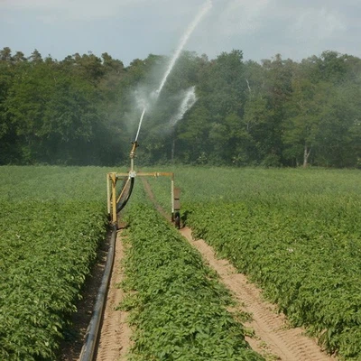 Uniformity and economy of sprinkler irrigation Uniformity and economy of sprinkler irrigation