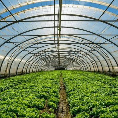 Greenhouse irrigation and humidity control Greenhouse irrigation and humidity control